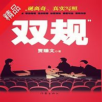 双规
