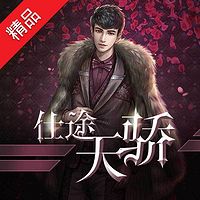 仕途天骄