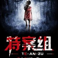 特案组