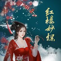 红楼妙探