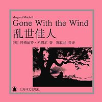 乱世佳人(上海译文版)