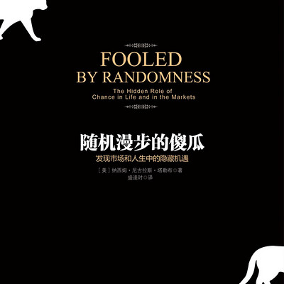 随机漫步的傻瓜 随机漫步的傻瓜