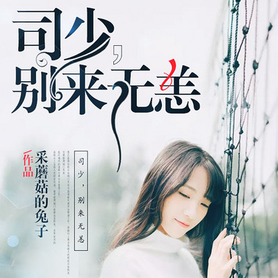 司少,别来无恙 司少,别来无恙