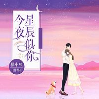 今夜星辰似你(总裁,夫人又被你儿子拐跑了)|夏初念