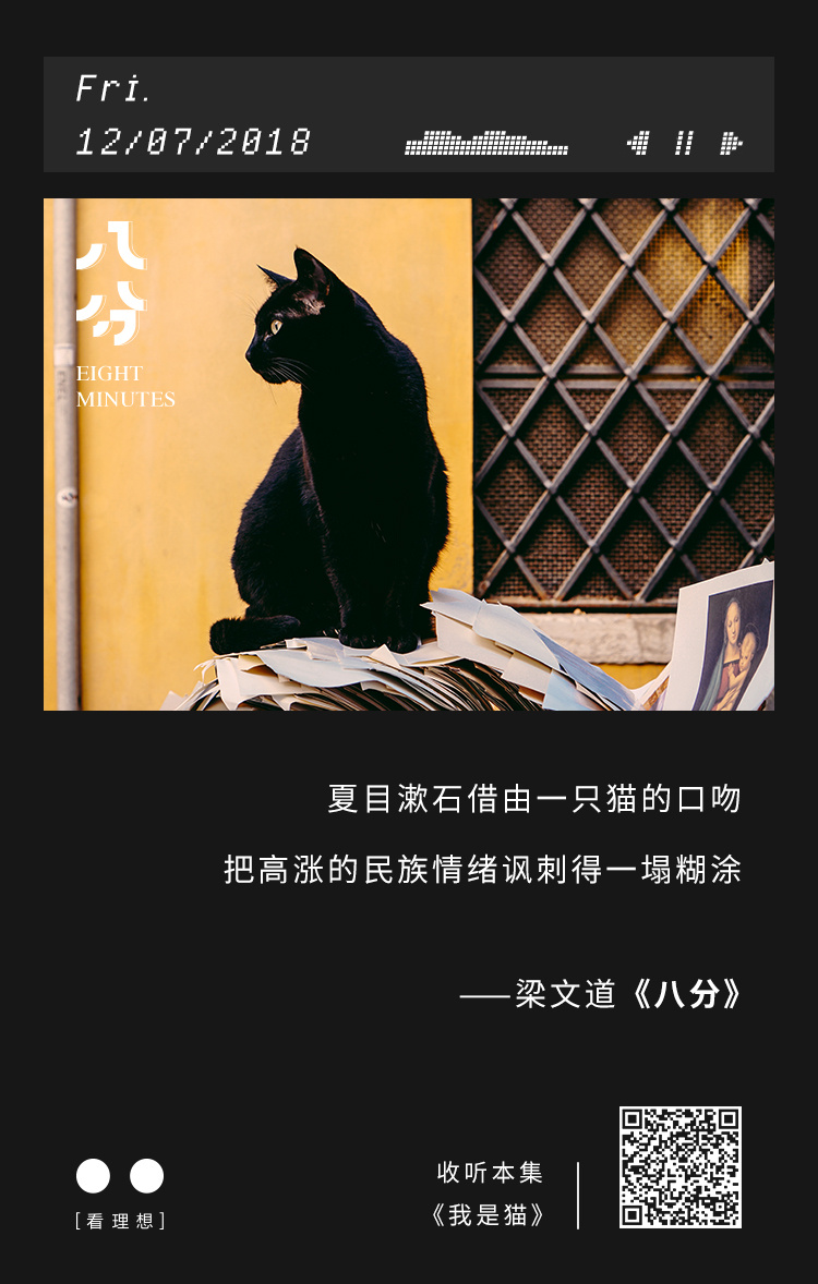 文艺品鉴录夏目漱石我是猫从猫的角度看世界
