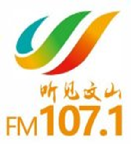 文山市广播电视台 logo