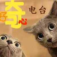 好奇心电台
