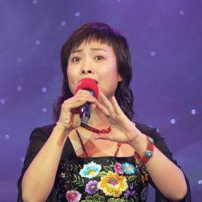 豫剧·王红丽 豫剧·王红丽
