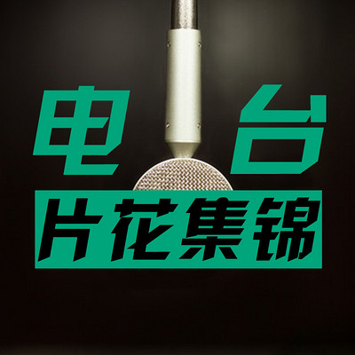 本专辑涵盖广播电台各种类型原创性片花~~~欢迎收听!