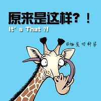原来是这样?!