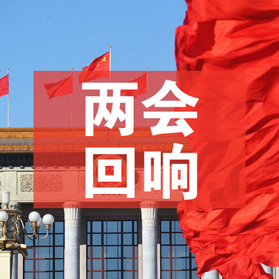 两会回响 两会回响