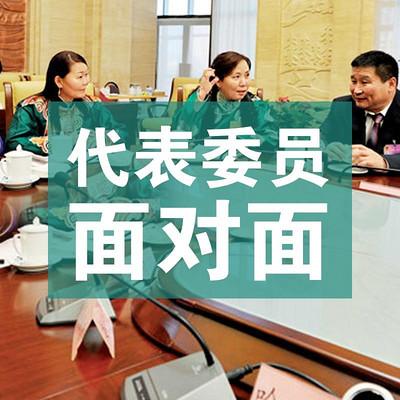 代表委员面对面 代表委员面对面
