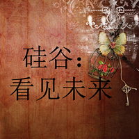硅谷:看见未来