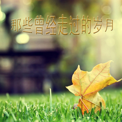 那些曾经走过的岁月 那些曾经走过的岁月