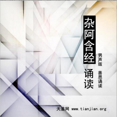 杂阿含经诵读(男声) 杂阿含经诵读(男声)