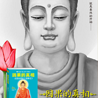 《因果的真相》庄圆法师讲-朗读:妙音