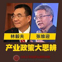 产业政策大思辨