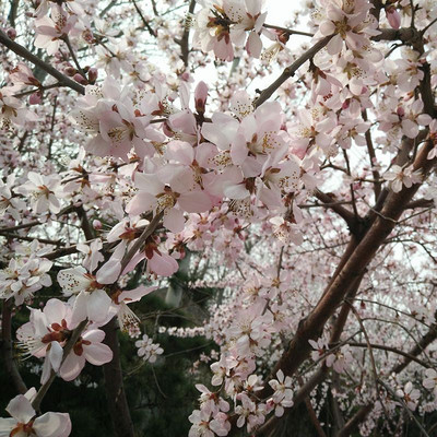 https://pic.qingting.fm/2017/02/11/partner_d97c099168104de103f093a707a91c45.jpg!400
