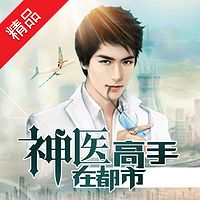 神医高手在都市