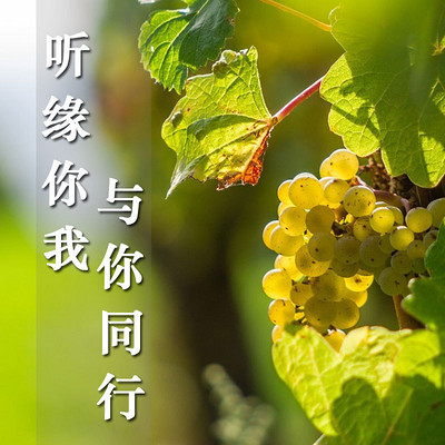 什么技之长的成语_成语故事简笔画