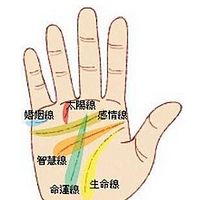 手相课堂