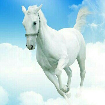 《相亲2》赵本山,宋小宝,赵海燕-宋小宝小品-蜻蜓fm听相声小品