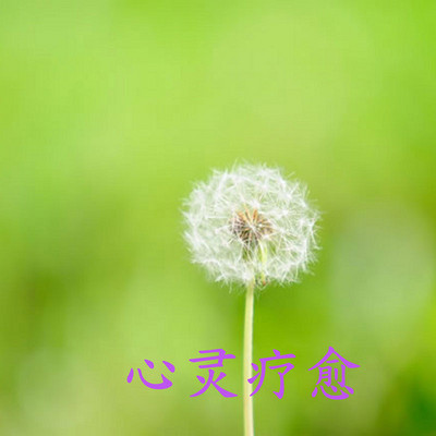 心灵美文第一期-月儿的心灵鸡汤