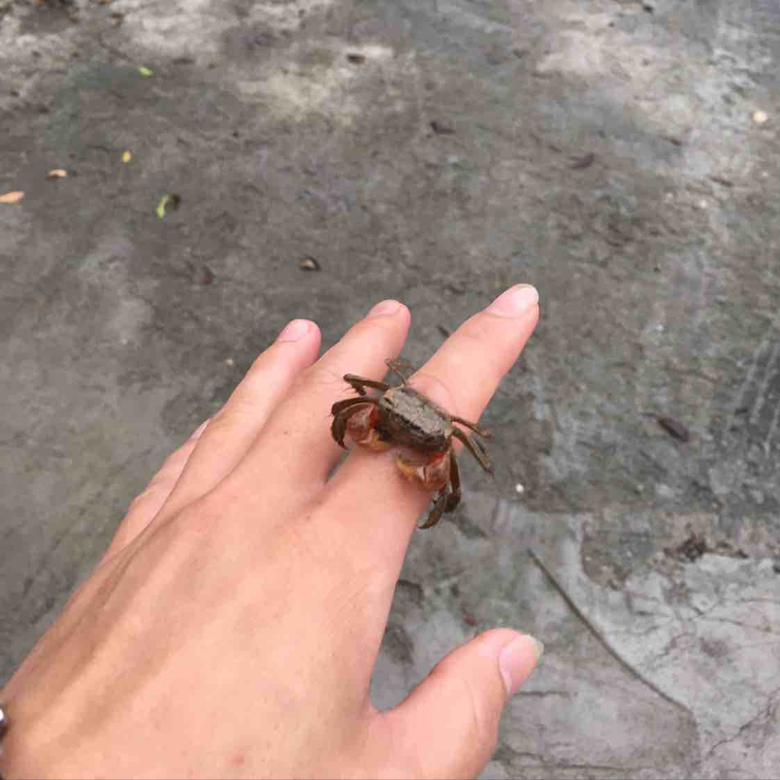 20170615230831975278.image