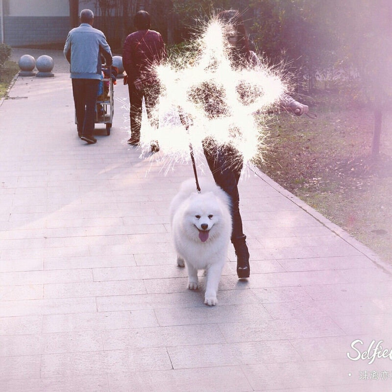 笑默无言 :艹,无缘无故来个灭满门,这么贱 2018-01-25  「出马仙」