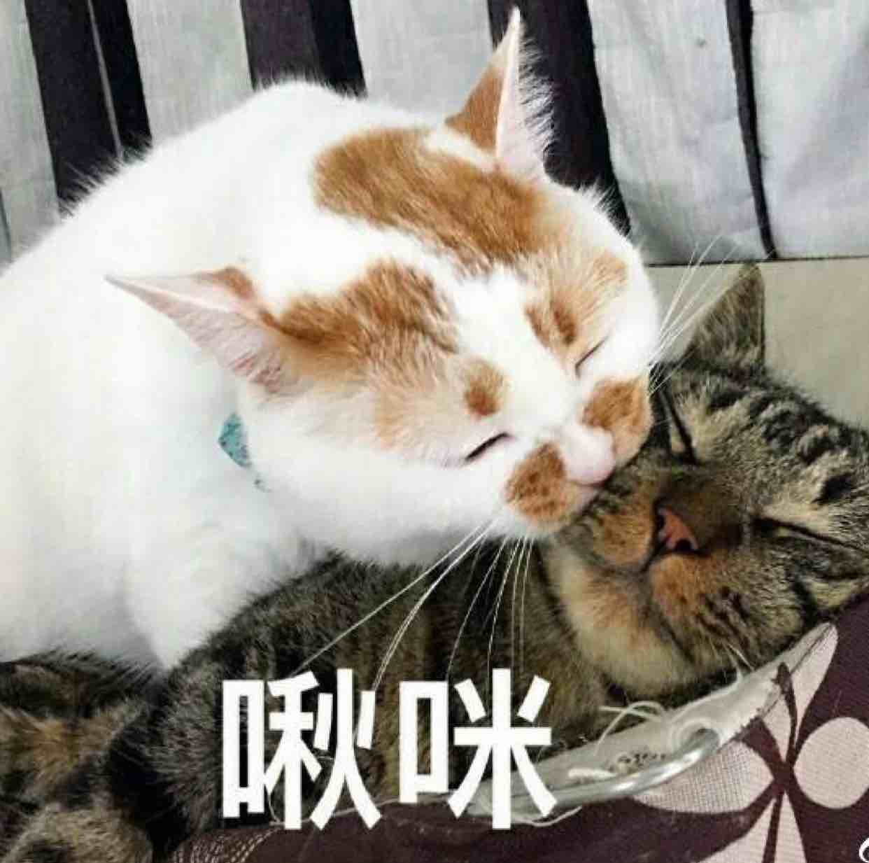 20170930115740353712.image
