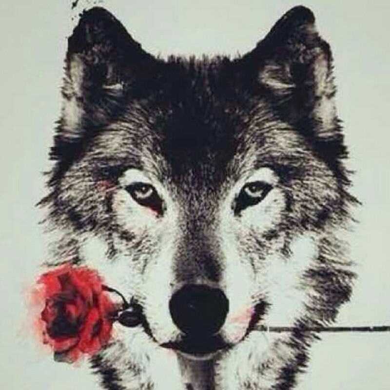 莎莎 :孤独是得不到认可和朋友的疏离,心理上的空虚 2017-12-03 蓝哈