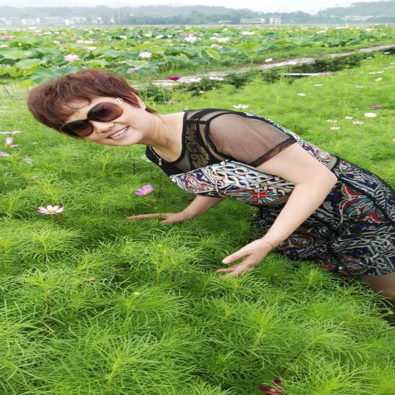 三国演义第90回说仲谋孙刘联手