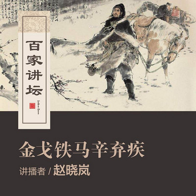 百家讲坛 金戈铁马辛弃疾【全集】 百家讲坛 金戈铁马辛弃疾【全集】