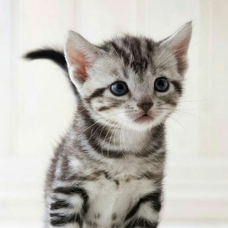 20180525201147631114.jpg!800