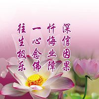 【佛陀教育音乐系列 大乘佛法-因果教育环城绕佛】