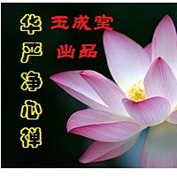 华严净心禅