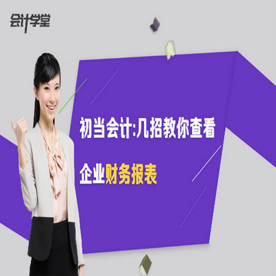 财务报表会计做账实操教程全解 财务报表会计做账实操教程全解