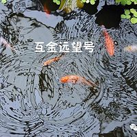 平台宫斗戏开播,蜜蜂、宜湃、夸客,一个都不能少