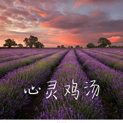 心灵鸡汤 心灵鸡汤