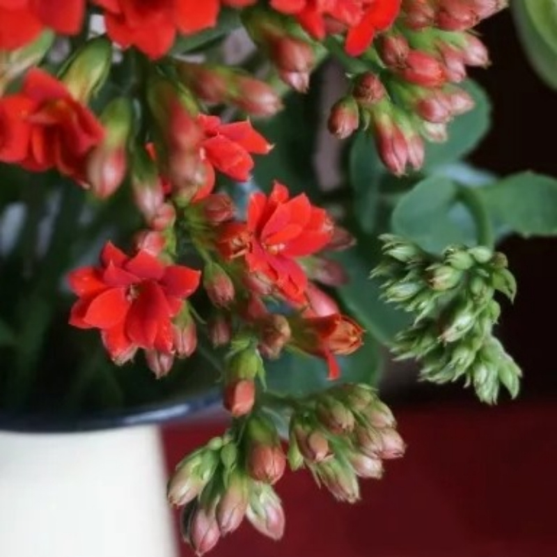 黑龙江广播电台主持人卢汉:祝听众朋友阖家幸福