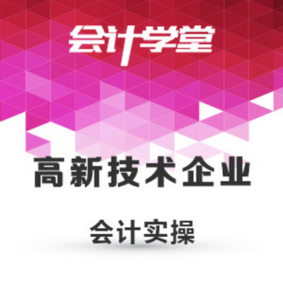软件企业会计实务教程 软件企业会计实务教程
