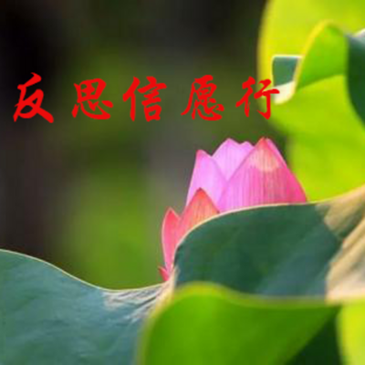 反思信愿行有声书