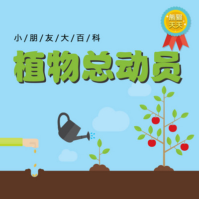 熊猫天天-植物总动员 熊猫天天-植物总动员