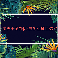 每天十分钟|小白创业项目选择