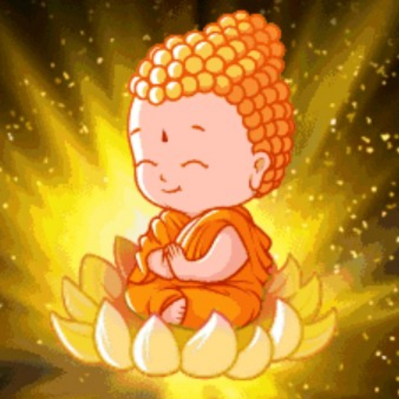 南无阿弥陀佛 南无观世音菩萨摩诃萨