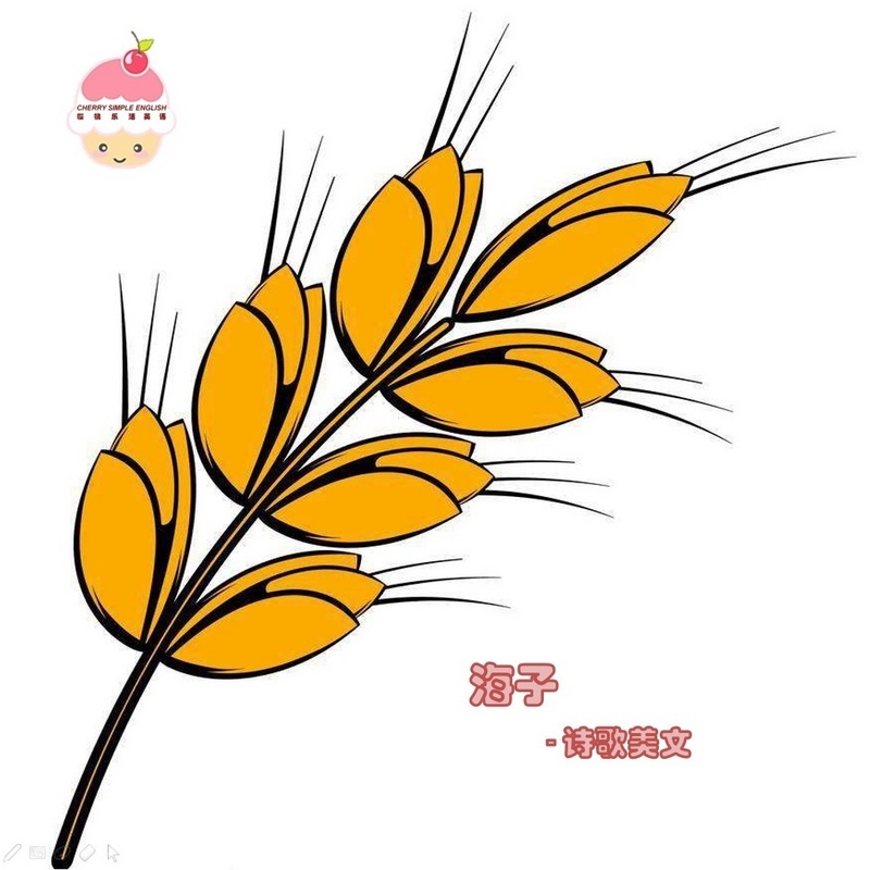 简谱小草诗歌_小草简谱(3)