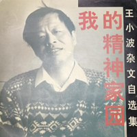 王小波杂文选---林风悠悠朗读