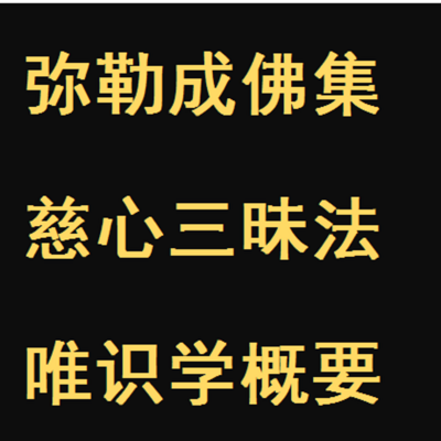 《弥勒菩萨成佛集》白话文讲说汇编 《弥勒菩萨成佛集》白话文讲说汇编