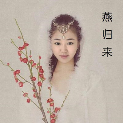 《燕归来》 张恨水 民国 现代言情小说精品