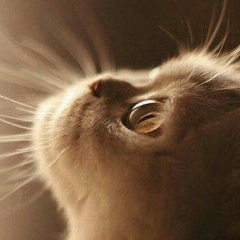 佳木斯虐童杀手:宫润伯(上)